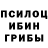 Галлюциногенные грибы GOLDEN TEACHER STEX DARK