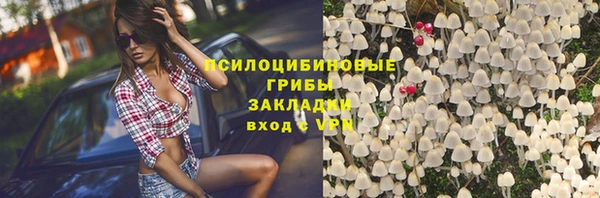 амф Бронницы